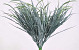 Aralia Plante 40cm