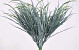 False Aralia Bush 40cm