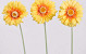 Gerbera 55cm gelb