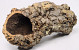 Cork Tube Medium L60-80cm