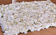 Panneau de fleurs 60x40cm Crème