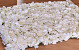 Panneau de fleurs 60x40cm Crème
