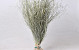 Beargrass 70cm XL +/- 375gr.