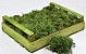 Silbermoos Waldgrün (Kiste 37x28cm)