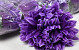 Chrysanthemum D16cm Purple