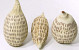 Baobab Drop cream 20-30cm
