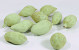 Baobab Vert 8-14cm