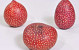 Calabash Dotted red 12-20cm