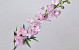 Delphinium Spray Pink 91cm