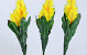Bromelia 45cm jaune