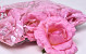 Rose D13cm Rose
