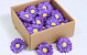 Gerbera 7cm paars 50-Pack