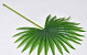 Kunst Palm blad Groen 50cm