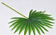 Künstliche Palm Blatt Grün 50cm