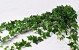 Kunst Hedera Hanger Green 180cm