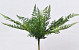 Fern Bush 15 Bladeren 46cm