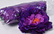 Peony D18cm Purple