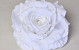 Rose D15cm Weiß