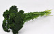 Bouquet Achillea Parker Vert 60cm