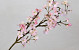 Apple Blossom 104cm Pink