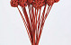 Brunch Ball on 50cm stem red