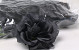 Rose D10cm Noir