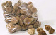 Bloempaddestoel 3-4cm 500gr.