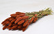 Bouquet Setaria Pêche 65cm