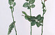 Rose half-open 84cm orange