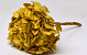 Hydrangea preserved Yellow D16cm