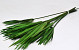 Papyrus Groen gepreserveerd 100gr