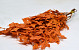 Feuille de Chêne Orange 60-70cm