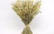 Dried Grass Bouquet 50cm