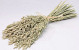 Bouquet Avoine 45cm plat