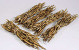 Fire Grass Bunch 30-40cm