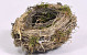 Flower Pot Bird's Nest 20cm