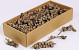 Acorn Branch 5-14cm Kg