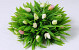 Wreath 18cm Mini Tulip