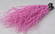 Bouleau Rose 50pcs