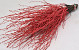 Bouleau Rouge 50pcs