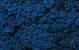 Reindeer Moss Blue per kg