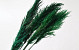 Pampas gras 110cm Groen