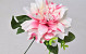 Dahlia D14cm Rose