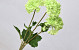 Hydrangea 3pcs Green 72cm