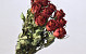 Rose Red 40cm, 10 pcs bunch