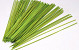 Bamboo Stick 60cm lime green