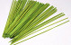 Bambus Zweig 60cm Limettengrün