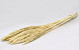 Nanal grass 75cm Bleached