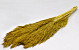 Nanal grass 75cm Ochre