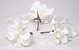 Foam flower 18cm white